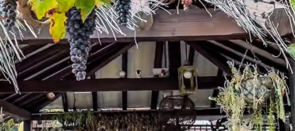 6 Schlafzimmer Hotel in San Miguel de Abona, Spain, Nr. 27688 14