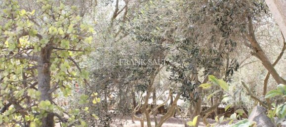 Quinta T2 em Siggiewi, Malta N.º 3355 5