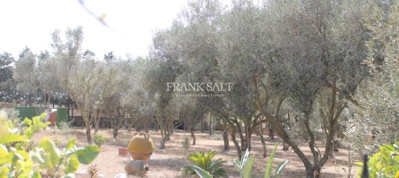 Quinta T2 em Siggiewi, Malta N.º 3355 11