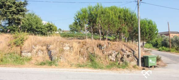 Terrain à Nelas, Portugal No. 77190 2