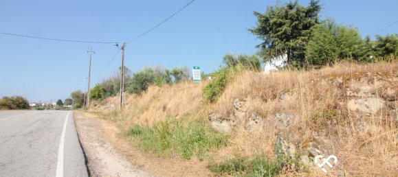 Terrain à Nelas, Portugal No. 77190 3