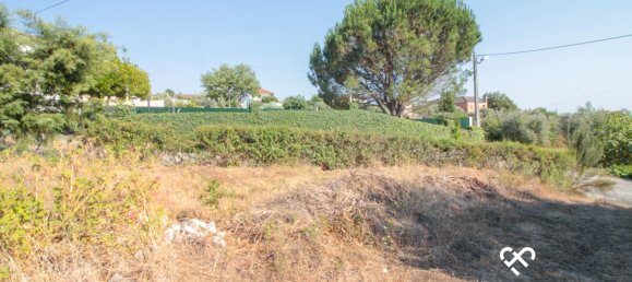 Terrain à Nelas, Portugal No. 77190 8