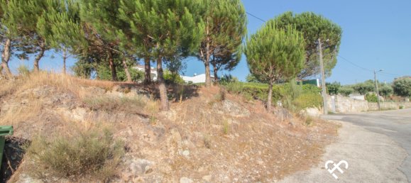 Terrain à Nelas, Portugal No. 77190 4