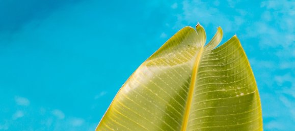 4 bedrooms Villa in Armacao de Pera, Portugal No. 90241 2