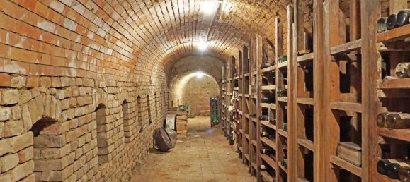 6غرفة مستودع في Grossweikersdorf, Austria رقم 43477 22