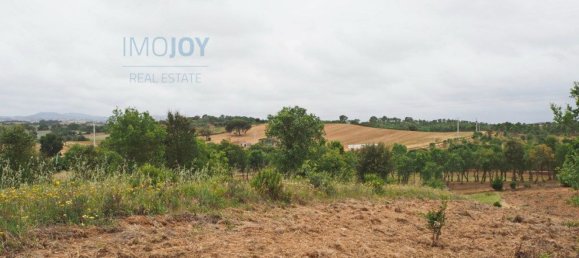 قطعة أرض في Santiago do Cacem, Portugal 31000متر مربع رقم 89756 3