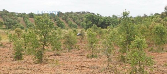 قطعة أرض في Santiago do Cacem, Portugal 31000متر مربع رقم 89756 8