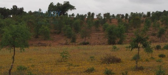 قطعة أرض في Santiago do Cacem, Portugal 31000متر مربع رقم 89756 2