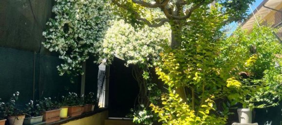 4-Zimmer Wohnung in Cesenatico, Italy, Nr. 216960 36