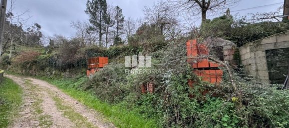 1 غرف نوم منزل في Marco de Canaveses, Portugal رقم 59372 16