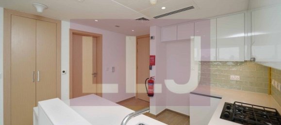 2 bedrooms Apartment in Yas Island, UAE No. 42779 13