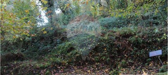 7820m² Land in Louredo, Portugal No. 31121 3