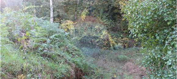 7820m² Land in Louredo, Portugal No. 31121 7