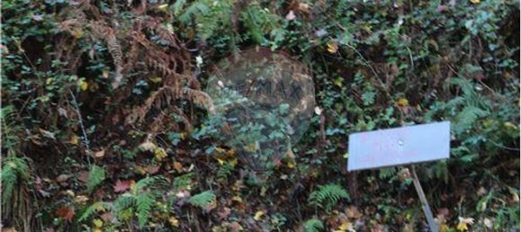 7820m² Land in Louredo, Portugal No. 31121 2