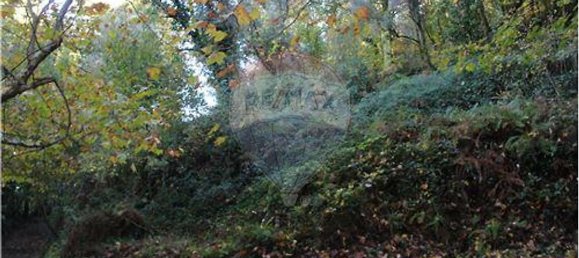 7820m² Land in Louredo, Portugal No. 31121 4