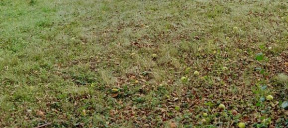 Terreno em Aschaffenburg, Germany N.º 359779 2