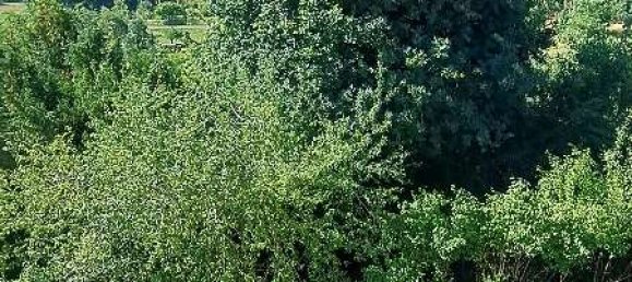 Casa de 6 dormitorios en Boblingen, Germany No. 319850 17