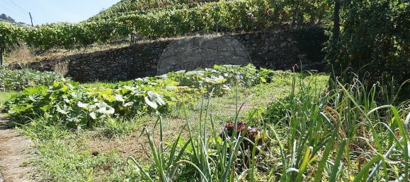 9 bedrooms House in Cambres, Portugal No. 62088 36