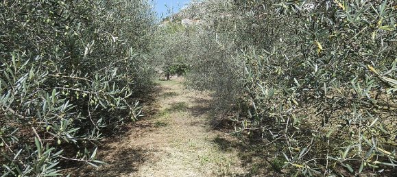 9 bedrooms House in Cambres, Portugal No. 62088 37