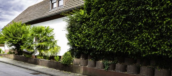 2 غرف نوم منزل في Landau in der Pfalz, Germany رقم 281134 12