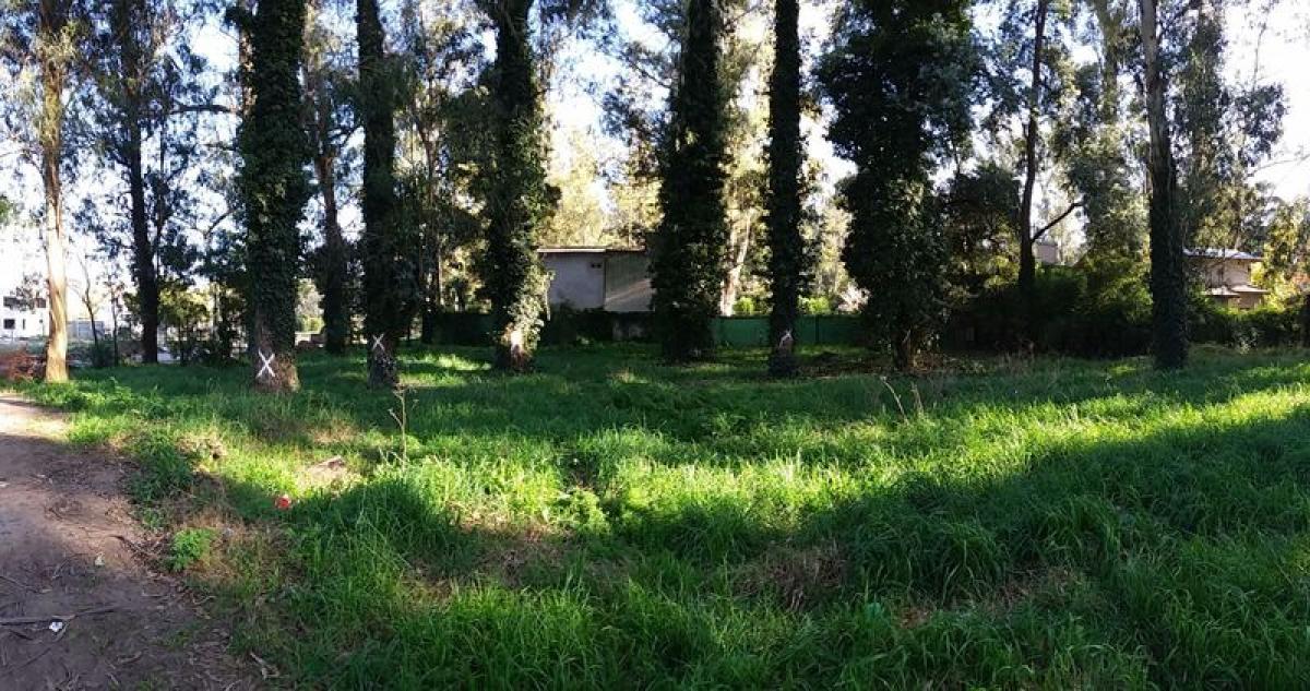 Grundstück in Mar del Plata, Argentina, Nr. 113893