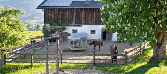 Hotel in Saalfelden am Steinernen Meer, Austria No. 182067 6