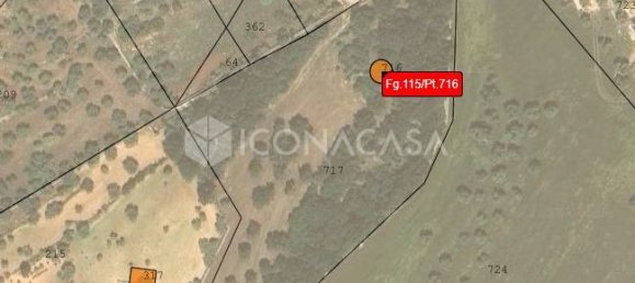 1 room Land in Conversano, Italy No. 379128 10