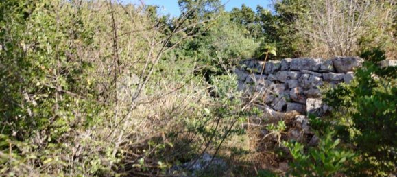 1 room Land in Conversano, Italy No. 379128 8