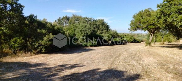 1 room Land in Conversano, Italy No. 379128 4