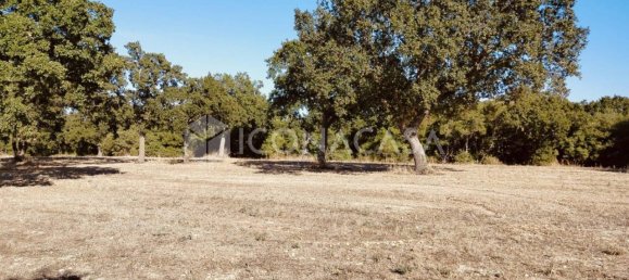 1 room Land in Conversano, Italy No. 379128 2