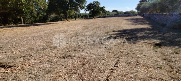 1 room Land in Conversano, Italy No. 379128 5
