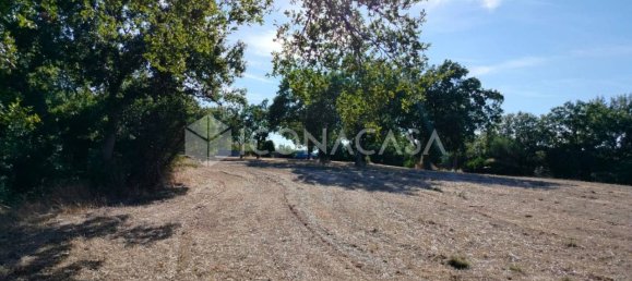 1 room Land in Conversano, Italy No. 379128 9