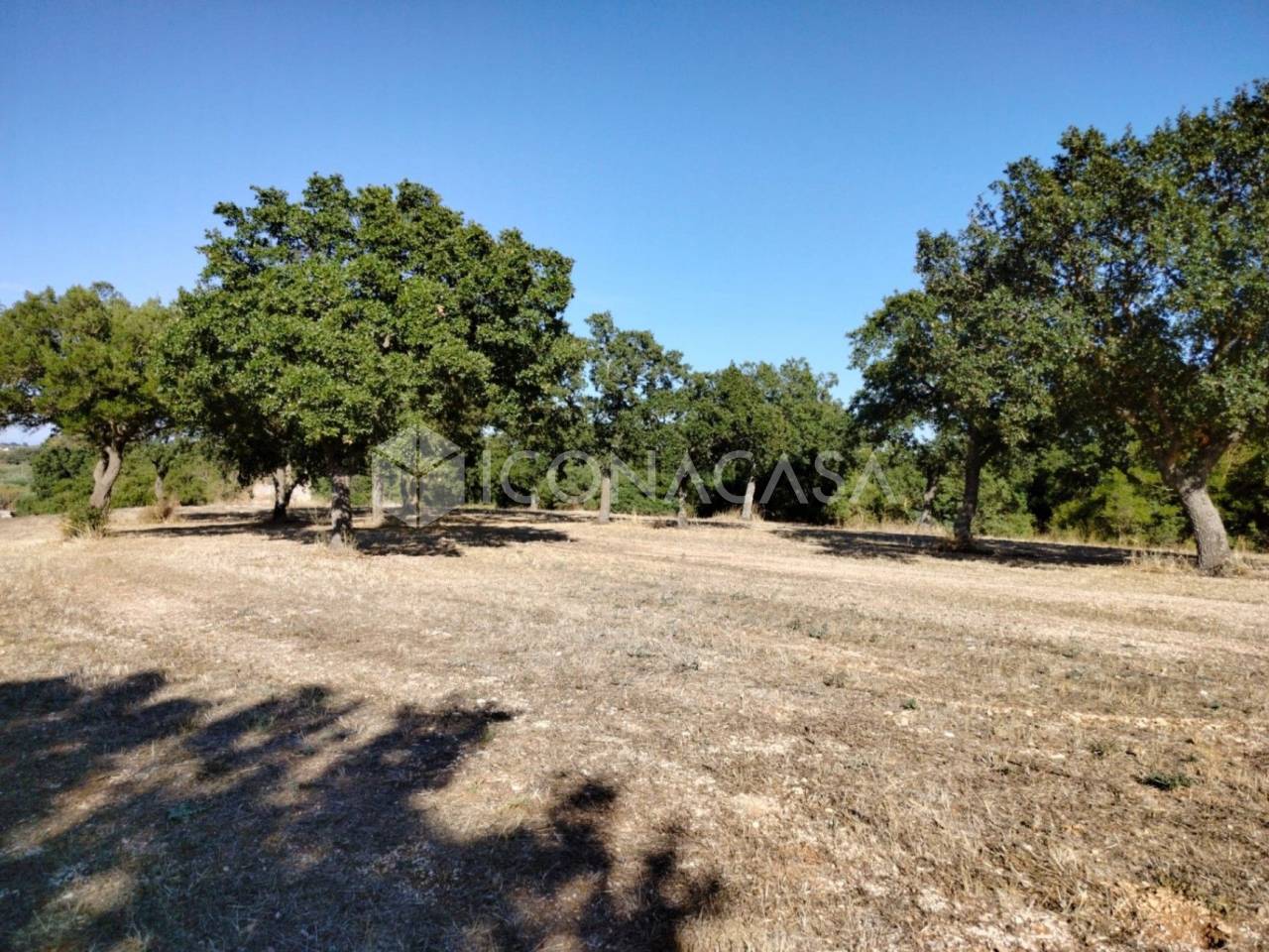 1 room Land in Conversano, Italy No. 379128