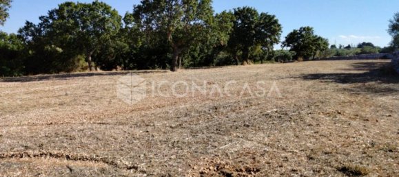 1 room Land in Conversano, Italy No. 379128 6