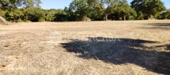 1 room Land in Conversano, Italy No. 379128 3