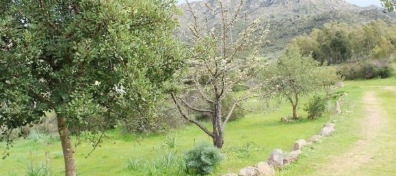 3 rooms House in Sardinia, Italy No. 263626 12