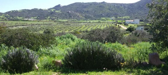 3 rooms House in Sardinia, Italy No. 263626 7