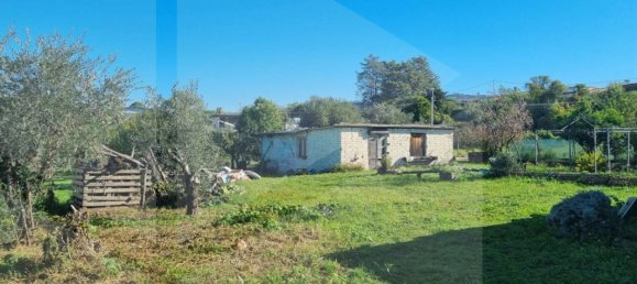 Terrain à Marino, Italy No. 19054 6