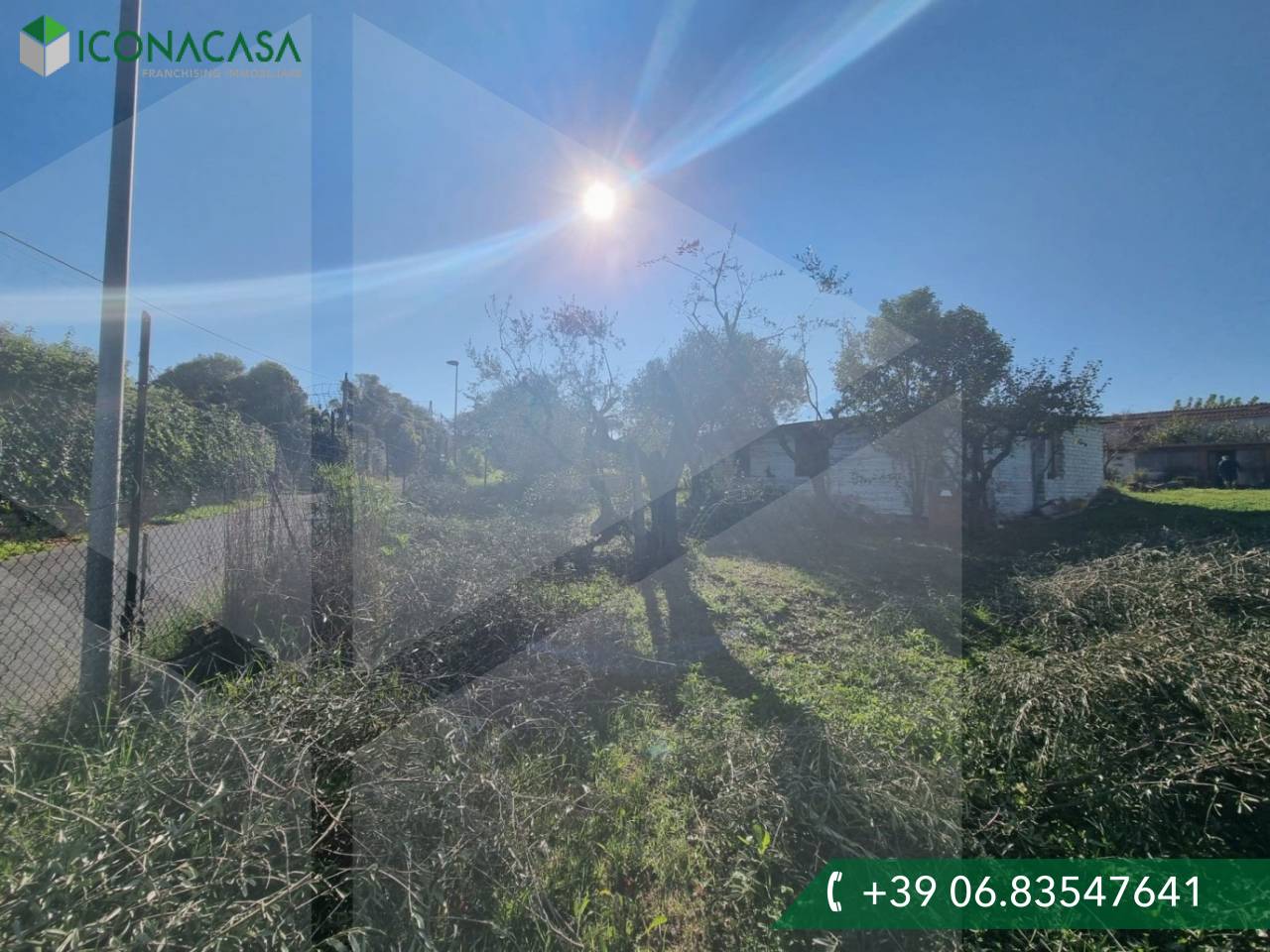 Terrain à Marino, Italy No. 19054