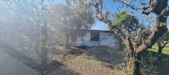 Terrain à Marino, Italy No. 19054 11