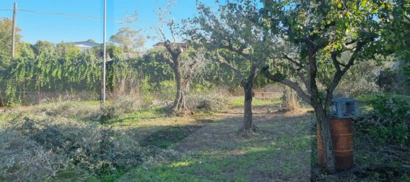 Terrain à Marino, Italy No. 19054 5