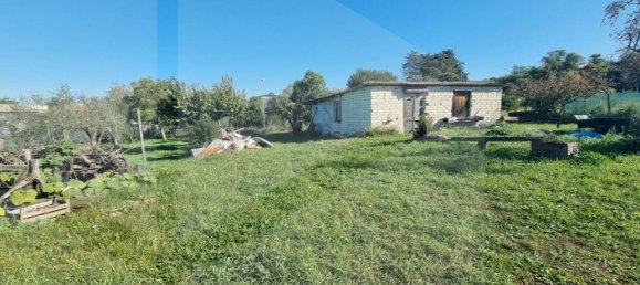 Terrain à Marino, Italy No. 19054 10