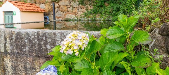Casa T2 em São Cristóvão de Nogueira, Portugal N.º 153879 42