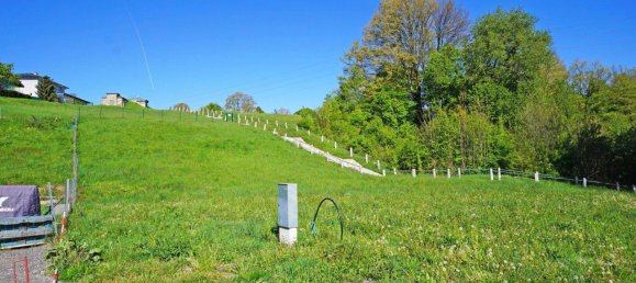 1408m² Land in Wolfsgraben, Austria No. 28442 5