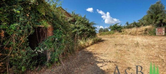 4 bedrooms House in Castiglione del Lago, Italy No. 58044 16