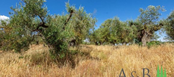 4 bedrooms House in Castiglione del Lago, Italy No. 58044 12