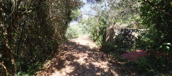 Дом с 2 спальнями в Сан Бенедетто дель Тронто, Италия № 155367 4