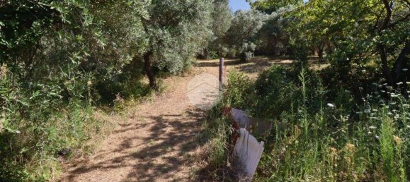 Дом с 2 спальнями в Сан Бенедетто дель Тронто, Италия № 155367 8