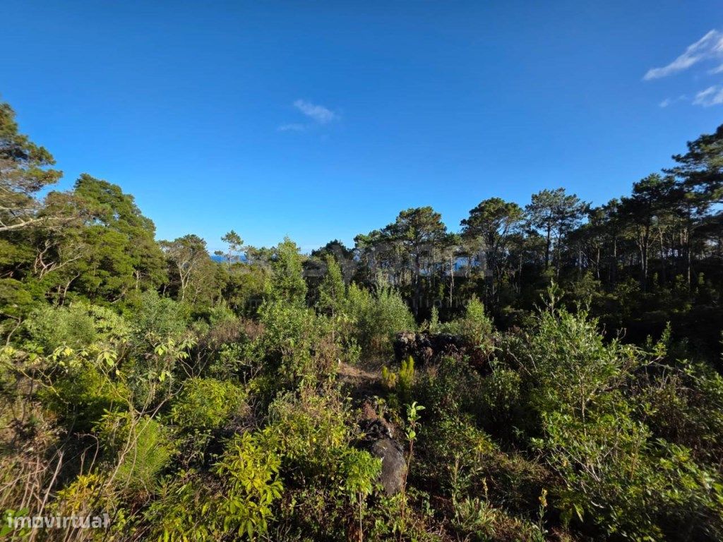 Terreno em Lajes do Pico, Portugal 2549 m² N.º 302751