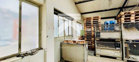 Propriété commerciale à Mettmann, Germany 592m² No. 318275 12